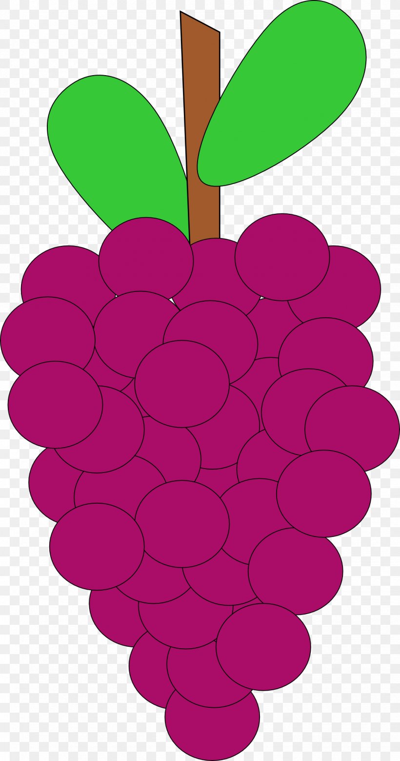 Common Grape Vine Clip Art, PNG, 1331x2531px, Common Grape Vine, Cartoon, Flower, Flowering Plant, Food Download Free