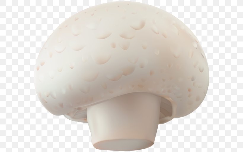 Common Mushroom Fungus Agaricomycetes, PNG, 600x513px, Common Mushroom, Agaricaceae, Agaricomycetes, Agaricus, Champignon Mushroom Download Free