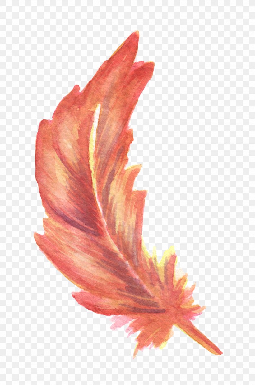 Feather Drawing Watercolor Painting, PNG, 1424x2144px, Feather, Drawing, Flower, Flowering Plant, Leaf Download Free