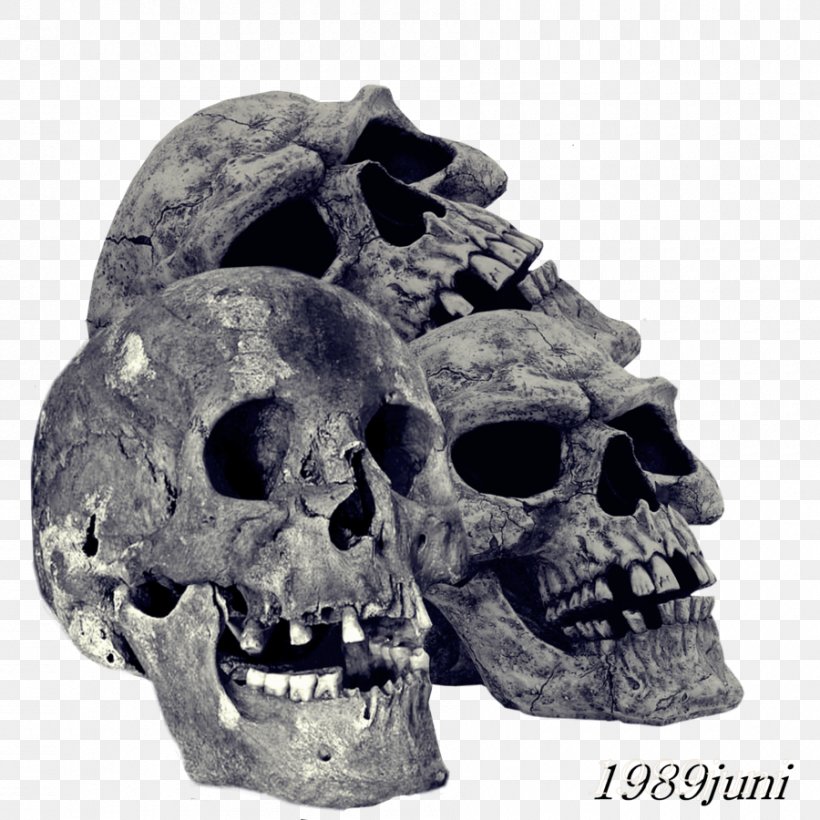 Human Skull Symbolism Skeleton, PNG, 900x900px, Skull, Art, Bone, Drawing, Expendables Download Free