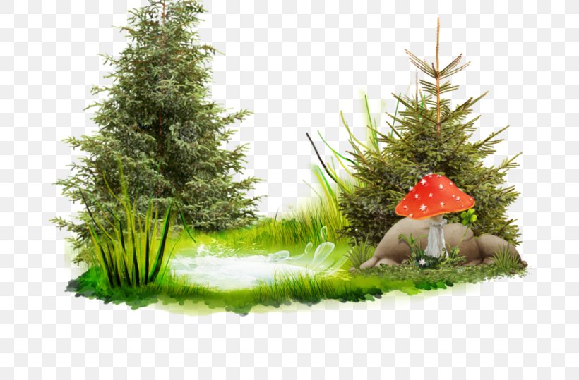 Pond Библионочь Download Clip Art, PNG, 688x539px, Pond, Christmas Decoration, Christmas Ornament, Christmas Tree, Conifer Download Free