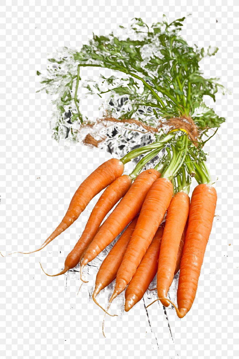Baby Carrot Vegetable Radish Vegetarian Cuisine, PNG, 1400x2100px, Carrot, Baby Carrot, Daucus Carota, Diagram, Food Download Free