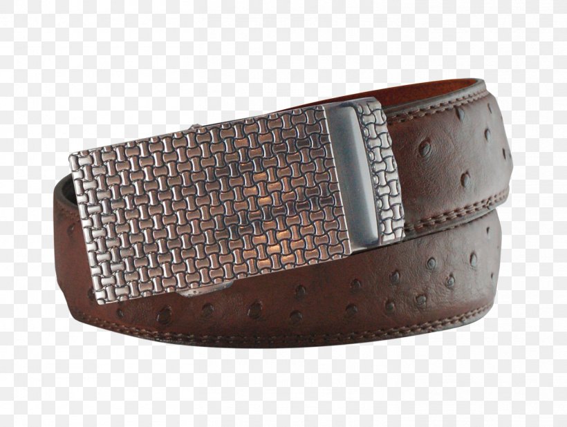 Belt Buckles Leather Clothing Accessories, PNG, 1462x1103px, Belt, Alligators, Beige, Belt Buckle, Belt Buckles Download Free