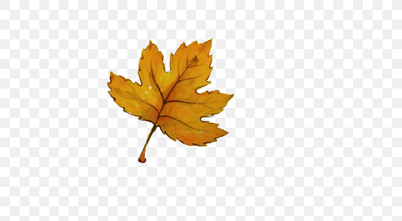 Computer File, PNG, 600x450px, Autumn, Drawing, Leaf, Maple Leaf, Plant Download Free