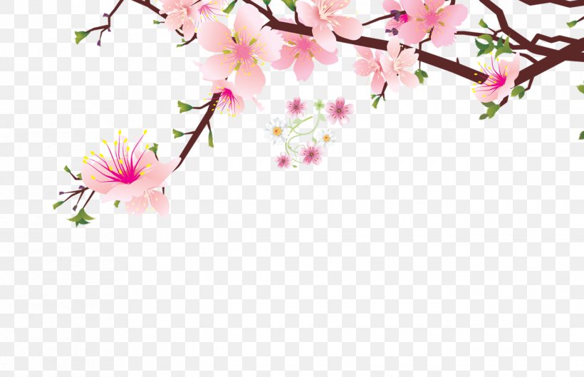 Petal Blossom Flower, PNG, 1320x852px, Petal, Blossom, Branch, Cherry Blossom, Floral Design Download Free