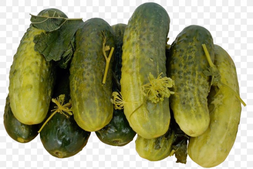 Pickled Cucumber Spreewald Gherkins Pickling Food, PNG, 1024x683px, Pickled Cucumber, Cucumber, Cucumber Gourd And Melon Family, Cucumis, Cucurbita Download Free
