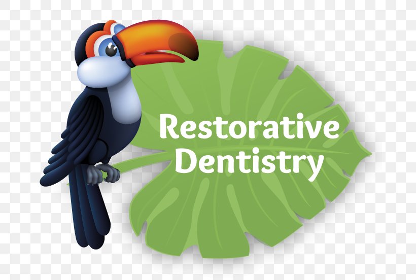 Restorative Dentistry Pediatric Dentistry Dental Fear Orthodontics, PNG, 686x552px, Dentistry, Beak, Bird, Dental Fear, Fauna Download Free