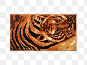 Tiger Skin - Tiger Big Cat Preposition Pattern PNG