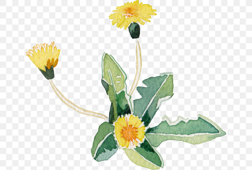 Artificial Flower, PNG, 655x552px, Flower, Artificial Flower, Calendula, Cut Flowers, Daisy Download Free