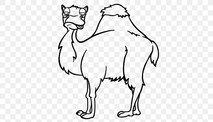 Dromedary Bactrian Camel Drawing Coloring Book Whiskers, PNG, 600x470px, Dromedary, Animal, Animal Figure, Arabian Camel, Bactrian Camel Download Free