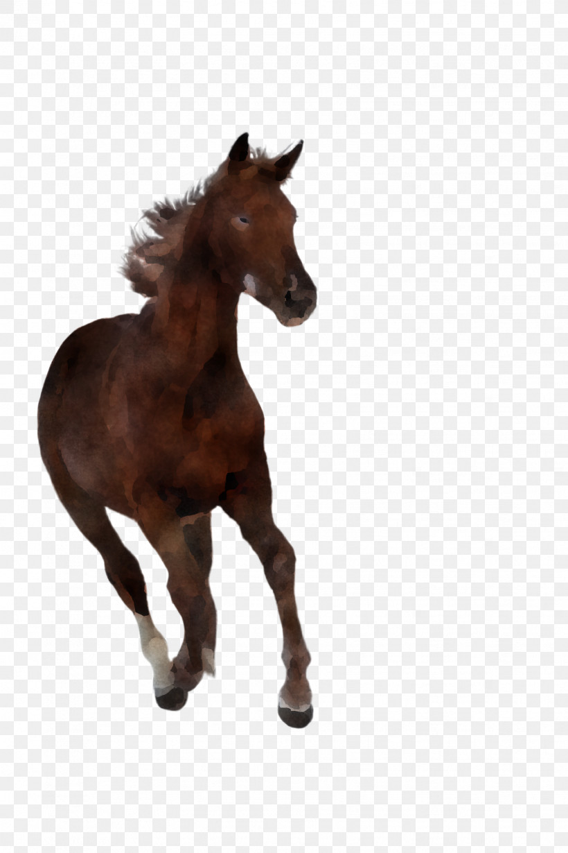 Horse Animal Figure Mane Brown Sorrel, PNG, 1632x2448px, Horse, Animal Figure, Brown, Mane, Mare Download Free