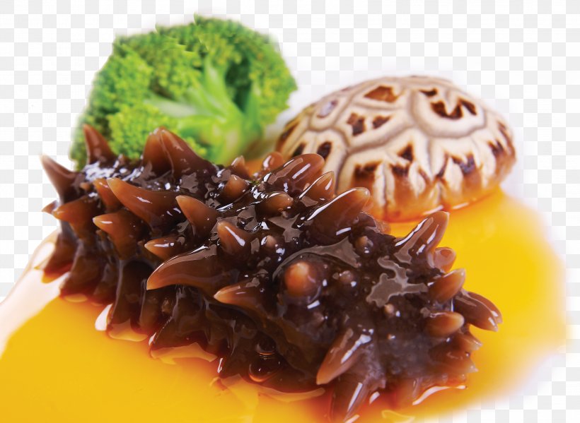 Sea Cucumber Food Eating, PNG, 3217x2351px, Sea Cucumber, Asian Food, Cucumber, Cuisine, Dish Download Free
