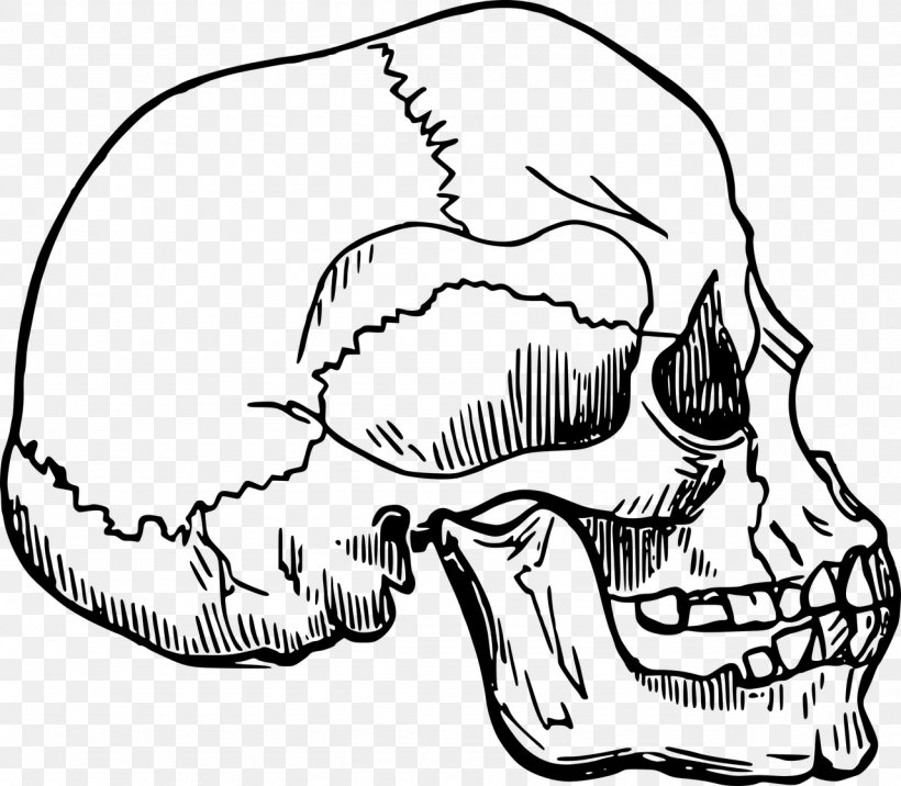 Skeleton Bone Skull Clip Art, PNG, 1280x1118px, Watercolor, Cartoon, Flower, Frame, Heart Download Free
