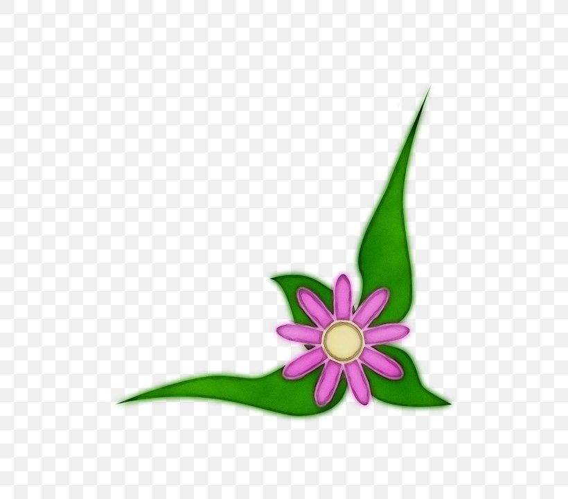 Green Petal Flower Plant Pink, PNG, 583x720px, Watercolor, Flower, Green, Leaf, Magenta Download Free
