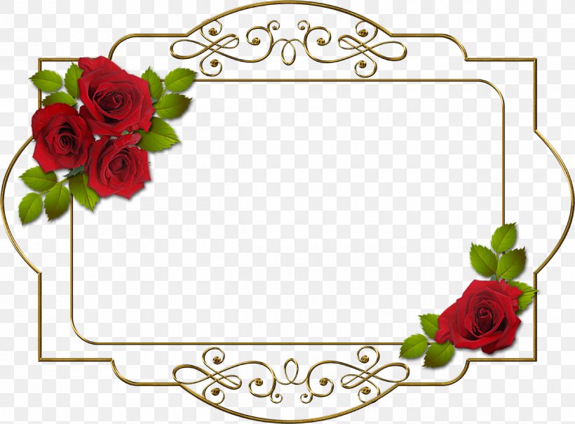 Information Clip Art, PNG, 1200x885px, Information, Border, Bulletin Board System, Computer Software, Cut Flowers Download Free