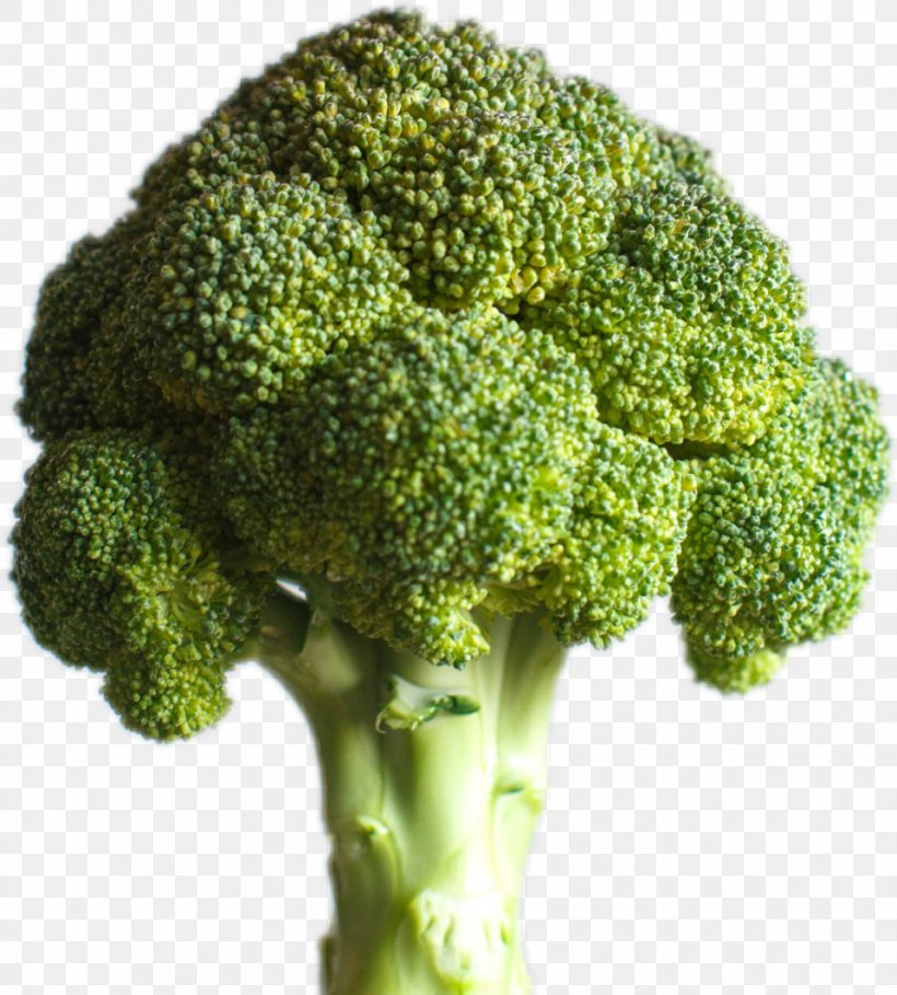 Cauliflower Drawing, PNG, 959x1064px, Broccoli, Broccoflower, Broccoli Florets, Broccolini, Cauliflower Download Free