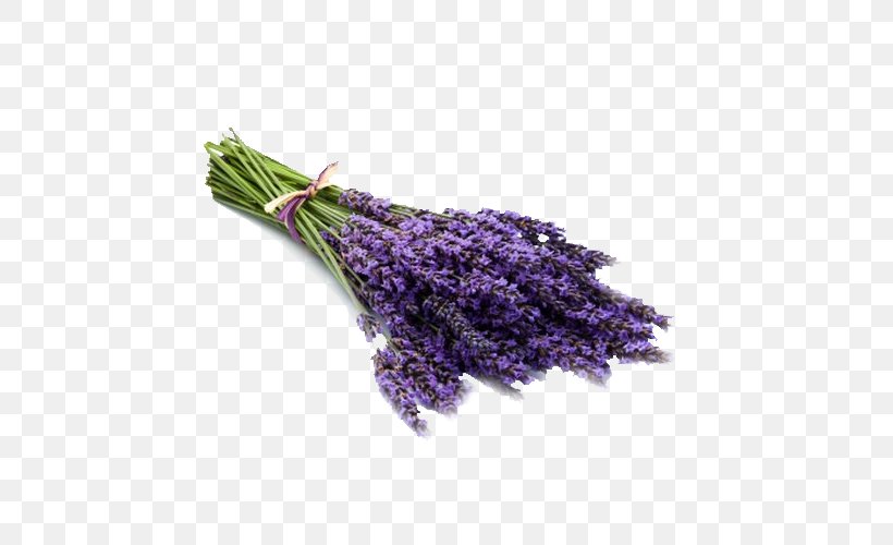 Mothball Royalty-free Stock Photography Image Lavender, PNG, 500x500px, Mothball, Copyright, English Lavender, Flower, Herbal Distillate Download Free