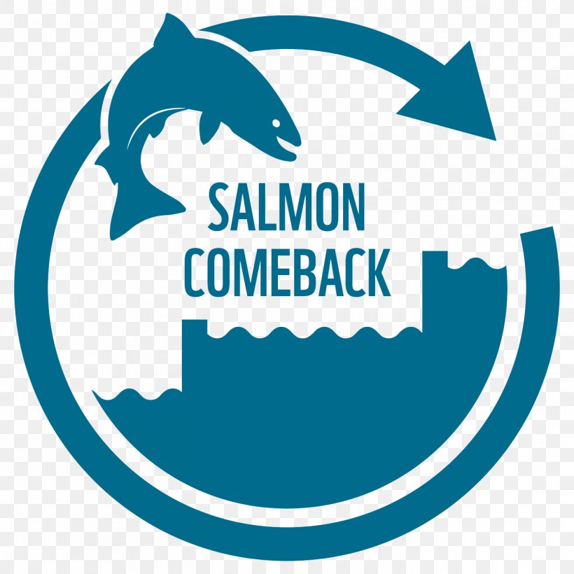 Atlantic Salmon Basel Rhine Ecology, PNG, 1417x1417px, Salmon, Area, Artwork, Atlantic Salmon, Basel Download Free