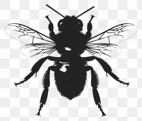 Bee Silhouette - Silhouette Of A Bee Illustration PNG