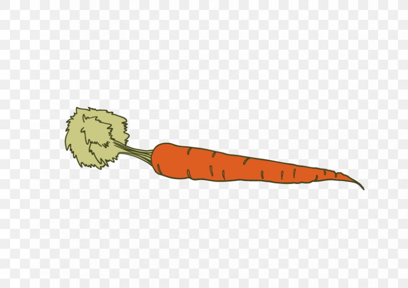 Carrot Vegetable Icon, PNG, 842x595px, Carrot, Carrot Creative, Cutlery, Daucus Carota, Orange Download Free