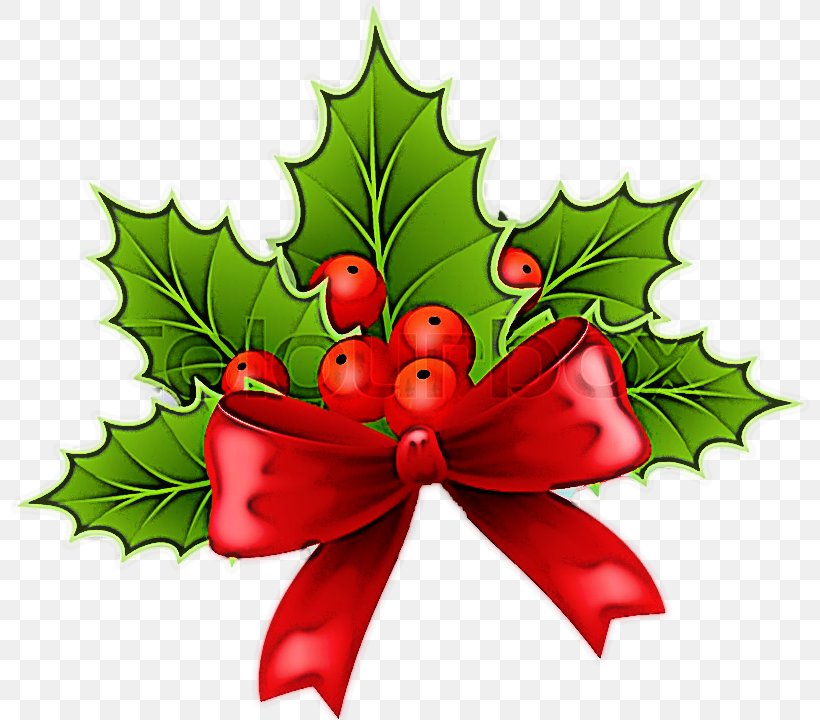 Christmas Decoration, PNG, 800x720px, Holly, Christmas, Christmas Decoration, Christmas Eve, Flower Download Free