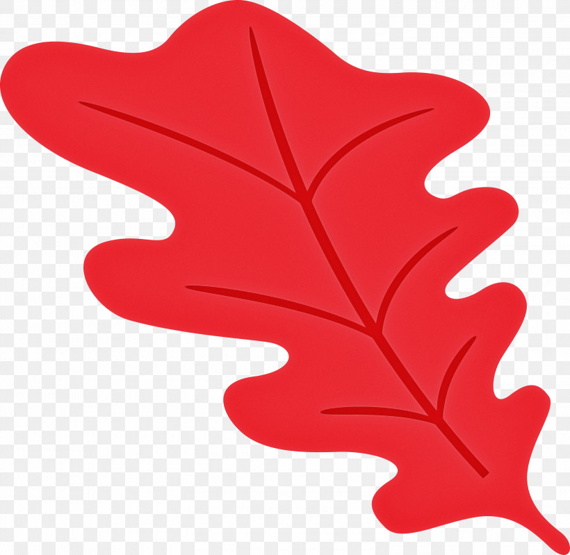 Oak Leaf, PNG, 3000x2926px, Oak Leaf, Color, Leaf, Maple, Maple Leaf Download Free