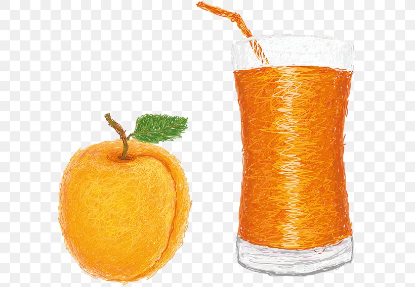 Orange Drink Orange Juice Fizzy Drinks Orange Soft Drink, PNG, 600x568px, Orange Drink, Apricot, Citric Acid, Drink, Fizzy Drinks Download Free