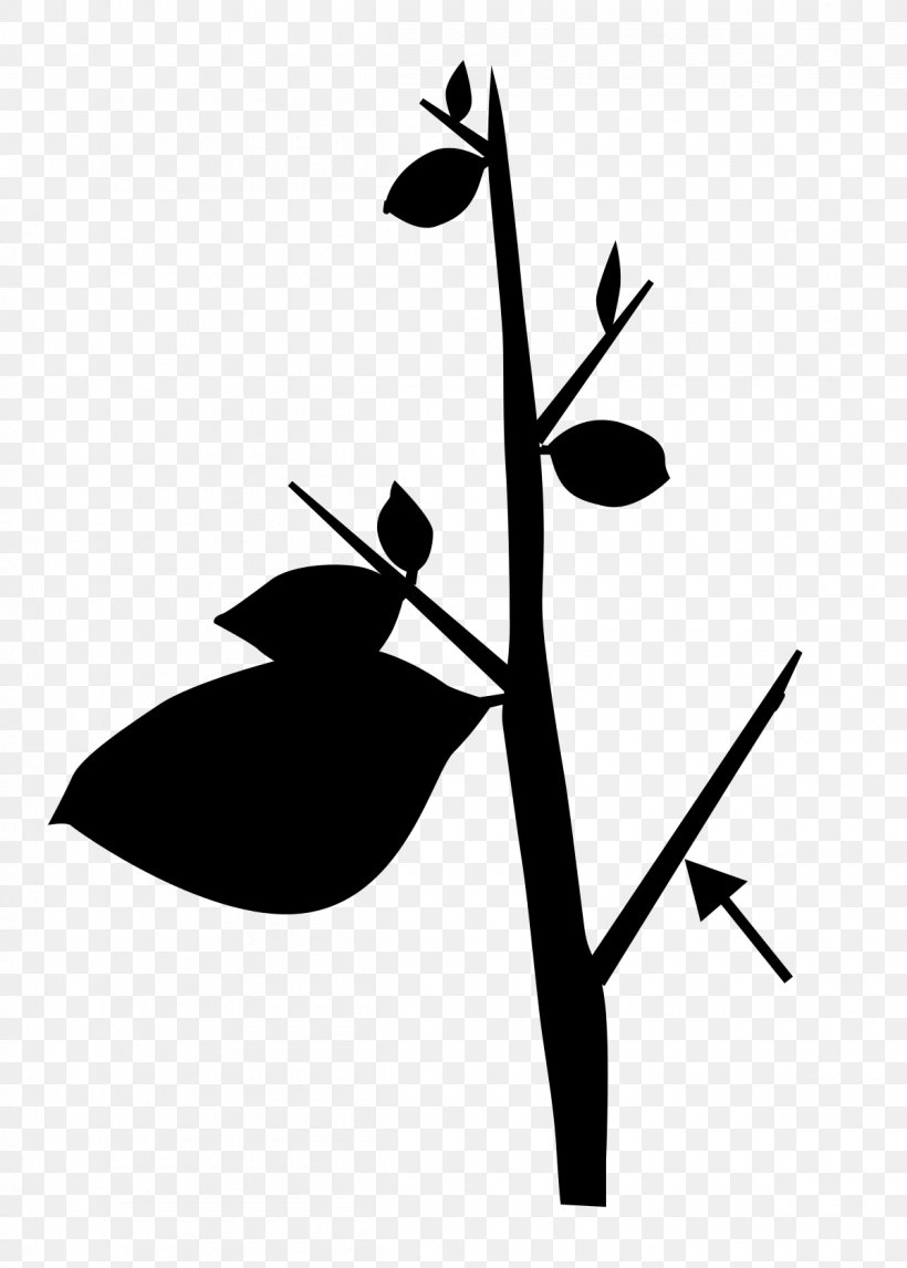 Twig Clip Art Plant Stem Flower Leaf, PNG, 1200x1678px, Twig, Art, Blackandwhite, Botany, Branch Download Free