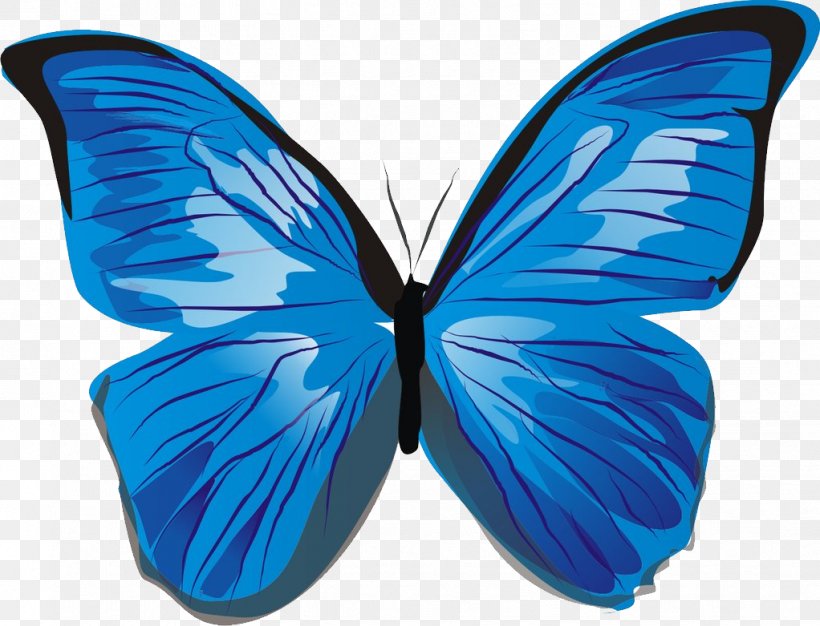 Butterfly Clip Art, PNG, 1022x781px, Butterfly, Blue, Brush Footed Butterfly, Butterflies And Moths, Cobalt Blue Download Free