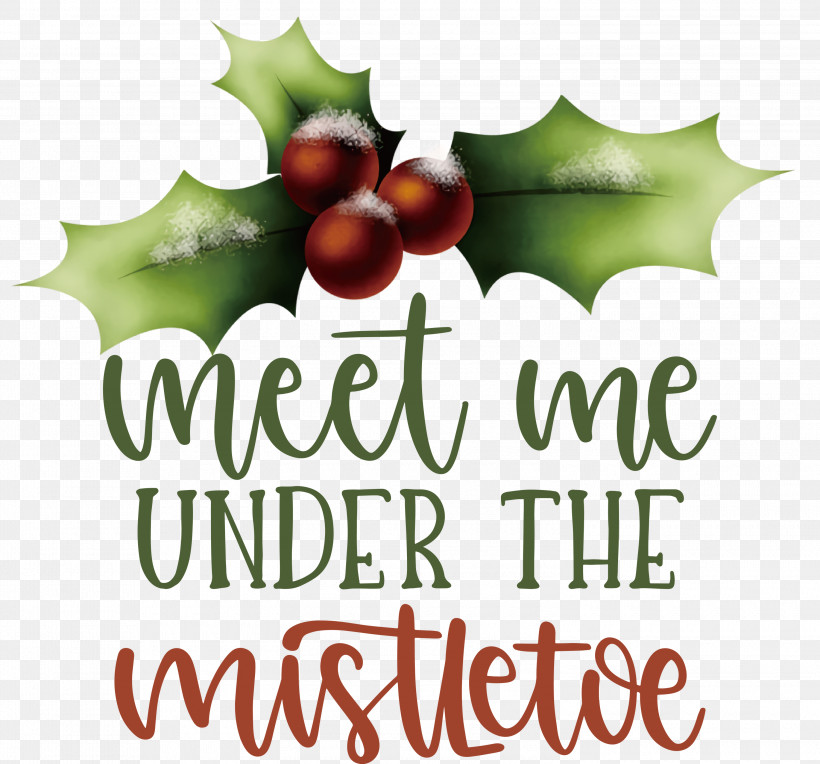 Meet Me Under The Mistletoe Mistletoe, PNG, 3000x2797px, Mistletoe, Aquifoliaceae, Aquifoliales, Biology, Fruit Download Free