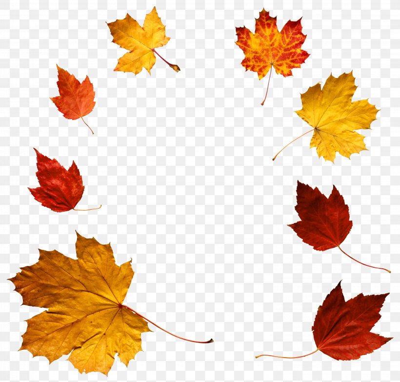 Autumn Leaf Color Clip Art, PNG, 2985x2851px, Autumn Leaf Color, Autumn, Flower, Flowering Plant, Green Download Free