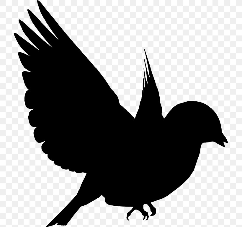 Bird Silhouette Drawing Clip Art, PNG, 728x768px, Bird, American Crow, Art, Beak, Bird Flight Download Free