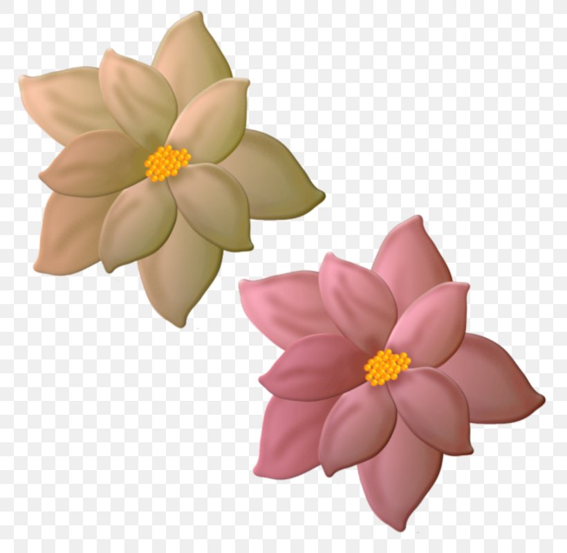 Flower PhotoScape Clip Art, PNG, 800x800px, Flower, Bayan Mod, Blume, Cut Flowers, Drawing Download Free
