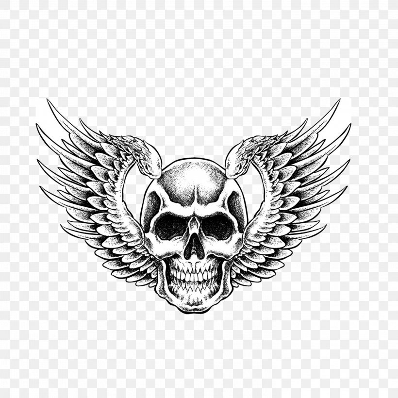Human Skull Symbolism Drawing, PNG, 2953x2953px, Skull, Black And White, Bone, Can Stock Photo, Drawing Download Free