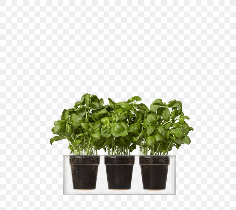 Boskke Cube Transparent Boskke Recycled Sky Planter Flowerpot Garden Design, PNG, 1466x1308px, Flowerpot, Basil, Flower Box, Garden, Gardening Download Free