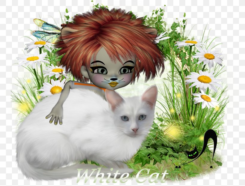 Kitten Whiskers Cat, PNG, 800x622px, Kitten, Animal, Author, Carnivoran, Cat Download Free
