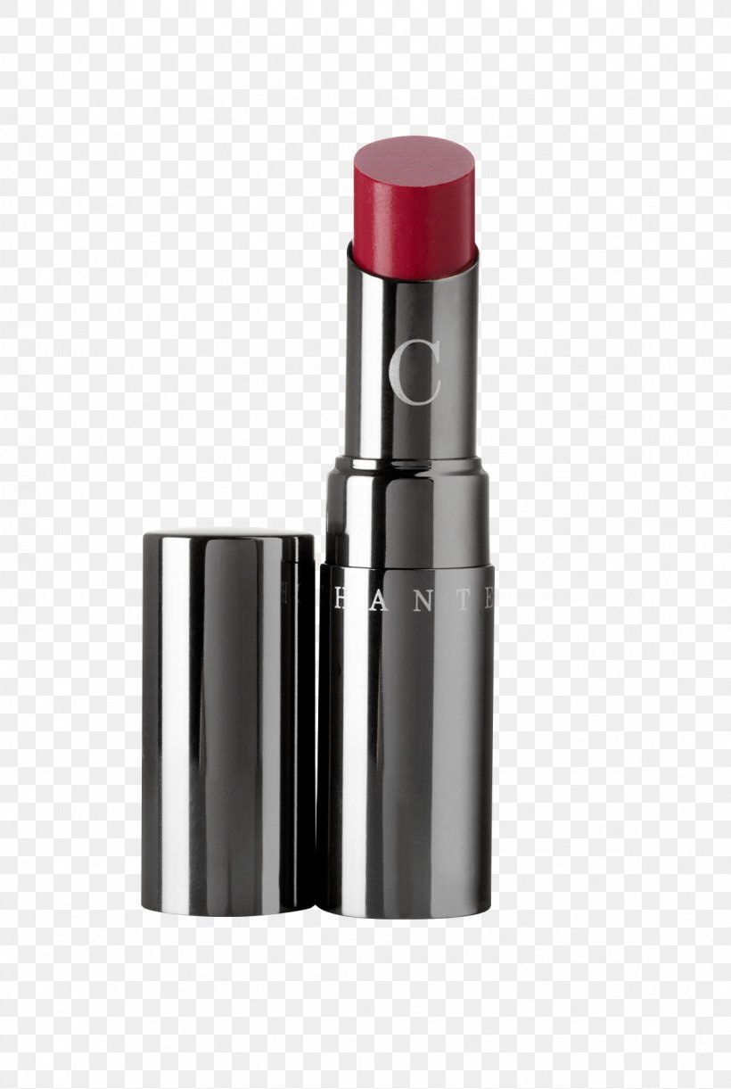 Lipstick Rose Color Fuchsia, PNG, 1176x1752px, Lipstick, Color, Complexion, Cosmetics, Fuchsia Download Free