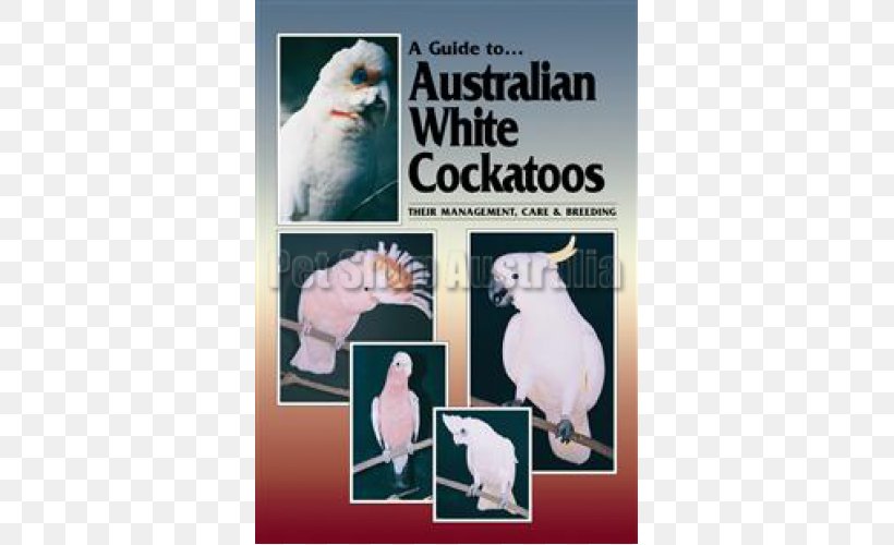A Guide To Australian White Cockatoos: Their Management, Care And Breeding Bird Pet Cockatiel, PNG, 500x500px, Cockatoo, Advertising, Aviary, Aviculture, Bird Download Free