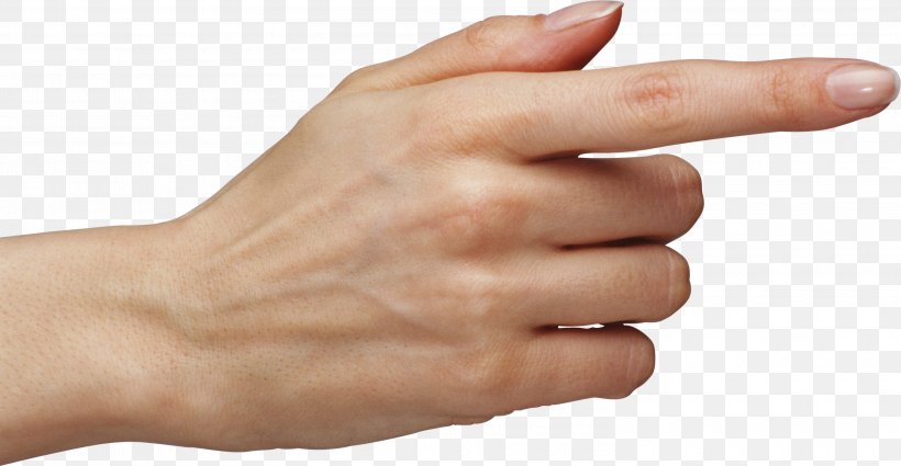 Finger Hand, PNG, 3000x1555px, Finger, Arm, Digit, Finger Snapping, Gesture Download Free