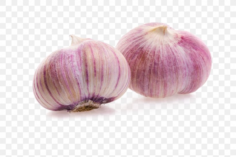 Garlic Shallot Red Onion, PNG, 1024x683px, Garlic, Broccoli, Condiment, Food, Gratis Download Free