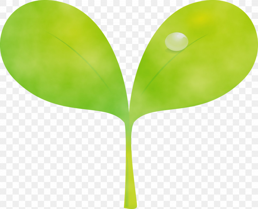 Green Leaf Plant Tree Plant Stem, PNG, 3000x2438px, Sprout, Bud, Flower, Flush, Green Download Free