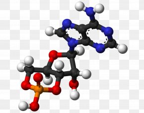 Atp - Ball-and-stick Model Adenosine Diphosphate Molecule Adenosine Triphosphate Cyclic Adenosine Monophosphate PNG