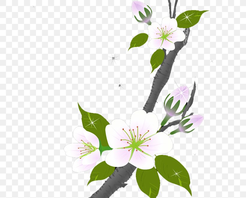 Floral Design Flower Plum Blossom, PNG, 607x662px, Floral Design, Blossom, Branch, Flora, Floristry Download Free