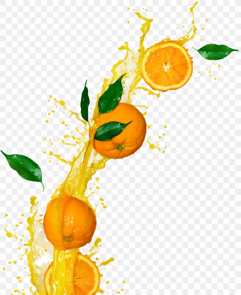 Orange Juice Tangerine Orange Drink Clementine, PNG, 2059x2513px, Orange Juice, Breakfast, Citrus, Clementine, Food Download Free