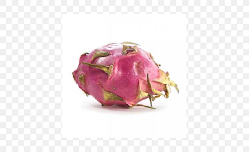 Pitaya, Inc. Pink M, PNG, 500x500px, Pitaya, Fruit, Magenta, Pink, Pink M Download Free