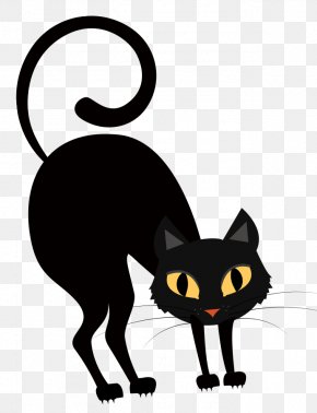 Night Black Cat Images, Night Black Cat Transparent PNG, Free download