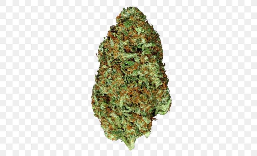 Cannabis Kush Northern Lights Skunk Tetrahydrocannabinol, PNG, 500x500px, Cannabis, Cannabidiol, Cannabis Sativa, Cannabis Shop, Dispensary Download Free