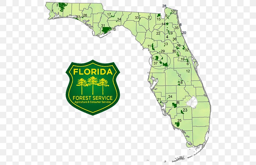 Florida National Scenic Trail United States Forest Service Map, PNG, 546x531px, Florida, Area, Forest, Forestry, Grass Download Free