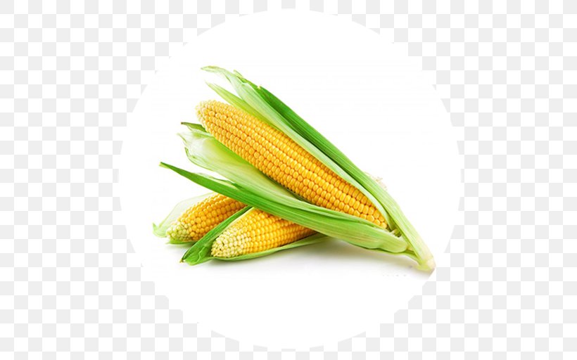 Vegetarian Cuisine Maize Sweet Corn Corn Oil, PNG, 512x512px, Vegetarian Cuisine, Baby Corn, Cereal, Commodity, Corn Gluten Meal Download Free
