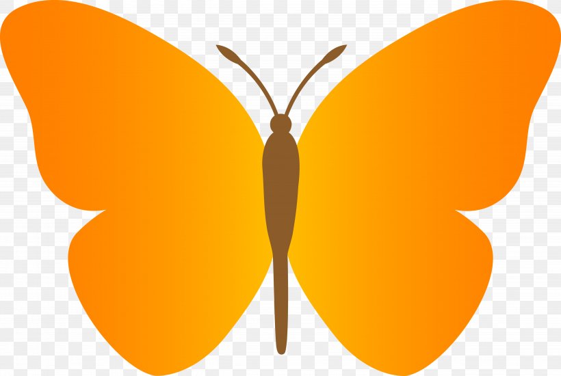 Butterfly Clip Art, PNG, 5112x3433px, Butterfly, Animation, Arthropod, Blog, Brush Footed Butterfly Download Free